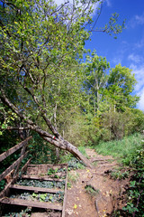 Fototapeta premium Long hiking trail GR1-11 in the Upper Chevreuse Valley Regional Nature park 