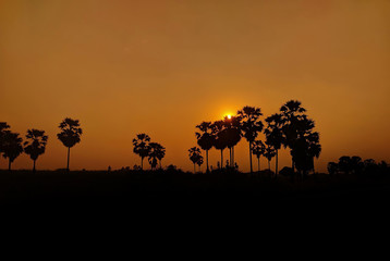 sunset in africa