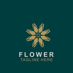 Luxury floral logo design. Ornament flower abstract vector