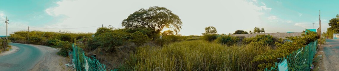 Obraz premium A panorama of indian landscapes