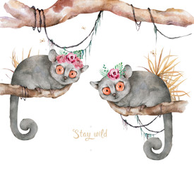Baby Mouse lemur. Hand drawn cute watercolor cartoon mouse lemur on tree with jungle leaves on white background © Anna Terleeva