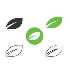 leaf icon vector illustration design