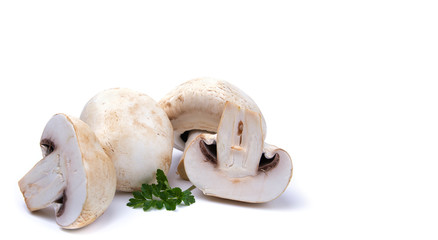 mushrooms on a white isolated background, for your creativity