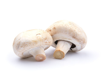 Fototapeta na wymiar mushrooms on a white isolated background, for your creativity