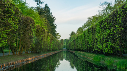 High hedge, clouds and its reflection in the pond at the Oliwa Park in the spring scenery.
