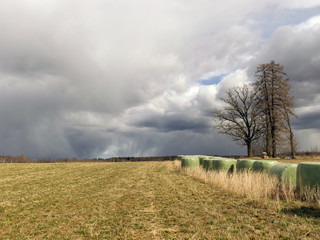 Fototapeta na wymiar simple rural landscape, hay rolls along the side of the road