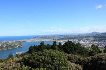  【 Signal Hill in Dunedin 】view from the sea