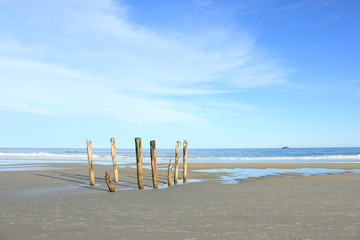 【 Beach in Dunedin 】path to the beach