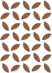 Leaves brown pattern texture  background nature
