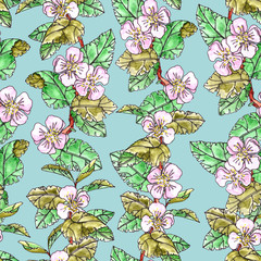 Seamless pattern of blooming apple branches with leaves on a turquoise background.