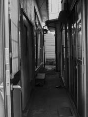 door to door neighbours  in black and white