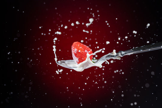 A tasty ripe red Strawberry fall into milk in front of a gradient red backdrop on a tablespoon and are splashed - Strawberry Splash