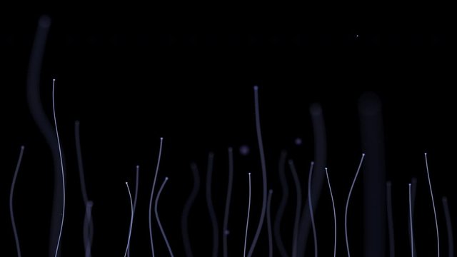 group of tiny white sprouts growing up and waving in abstract dark space, creepy motion background