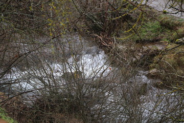 Río