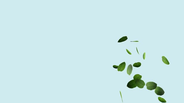 3D flying mint leaves with luma key 4K, leaves particle flowing