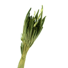 Dried green flowers Fleum isolated on white background