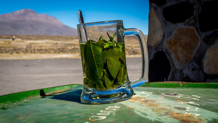 closeup of a glass mug with tea mate de coca, coca leaves and herbs infused with hot water,...