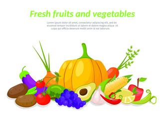 Farm fresh fruits elements. Modern flat style vegetables on vector illustration isolated.