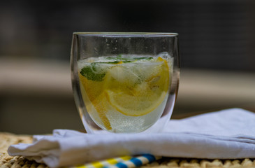 Gin and tonic cocktail with lemon and mint