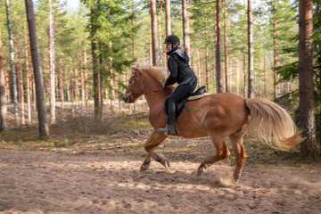horse, animal, farm, brown, nature, horses, mare, woman, foal, horseback, riding, equine, grass, animals, equestrian, stallion, outdoors, beautiful, field, mammal, pasture, beauty, rider, young, herd,