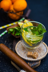 Gin and tonic cocktail with lemon and mint