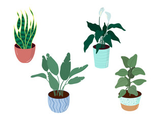 Potted plant collection, house plants. Hand drew vector art. Set of house indoor plant vector cartoon doodle.