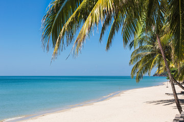Fototapeta na wymiar Palm Tree On Beach Against Clear Blue Sky