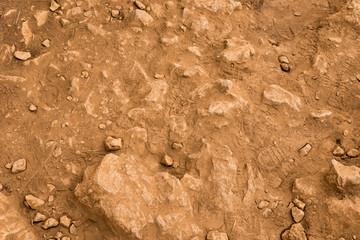 Graphic texture stone