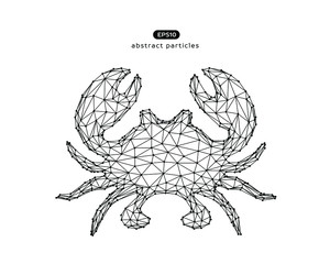 Vector abstract illustration of crab. Eps 10. You can easily change color.