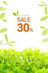 초록잎이 신선한 배경