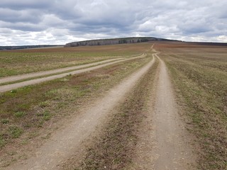 Country road in the field