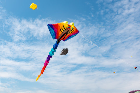 Kites with blue sky and white clouds