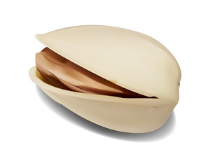 ピスタチオ　アイコン　影と本体は分離でき、どんな背景に配置しても良く映える