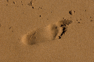 Footprints on the shore of the sea
