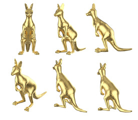 Set of polygonal kangaroos