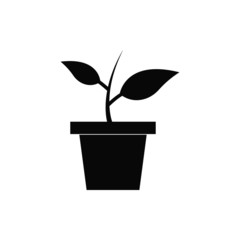vector illustration of plant in pot icon