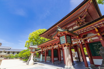 Fototapeta premium 太宰府天満宮 福岡県太宰府市 Dazaifu Tenmangu Fukuoka Dazaifu city