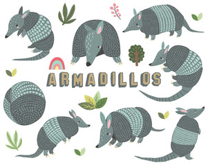 Cute Little Armadillos Collections Set