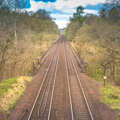 Fototapeta na wymiar Scenic railroad tracks in a forest in rural area in summer and blue sky with white clouds