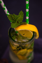Gin and tonic cocktail with lemon and mint