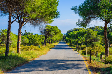 Stunning natural park near Guardamar del Segura. Province of Alicante. Spain