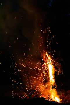 Bright Hot Embers Falling From A Branch On Fire.  Bonfire Burning At Night With Sparks And Flames.