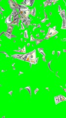 Flying dollars banknotes isolated on chromakey. Money is flying in the air. 100 US banknotes new sample. Vertical orientation. 3D illustration