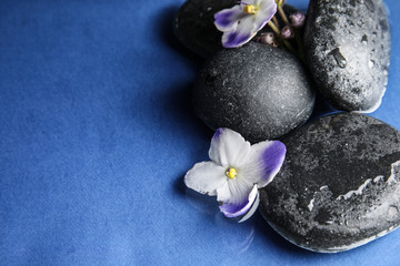 Stones and flowers in water on blue background, space for text. Zen lifestyle