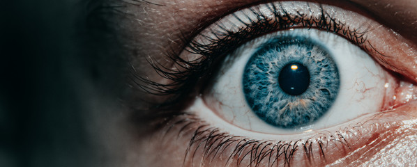 Close up of Human Eye. Eye with Veins. Blue Scared Eye Macro.  Ophthalmology.