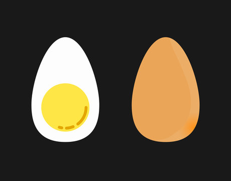 Vector illustration of hard boiled egg.
