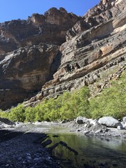 Naklejka premium ワディ・グール