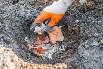 Stirring in the rubber glove of the husks of onions with garlic and ash with charcoal before...