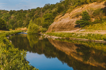 river in the forest