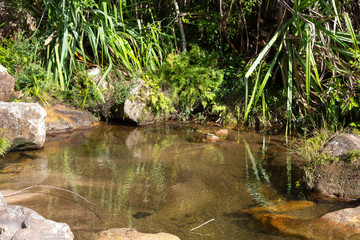 Fototapeta na wymiar A small lake with crystal clear water